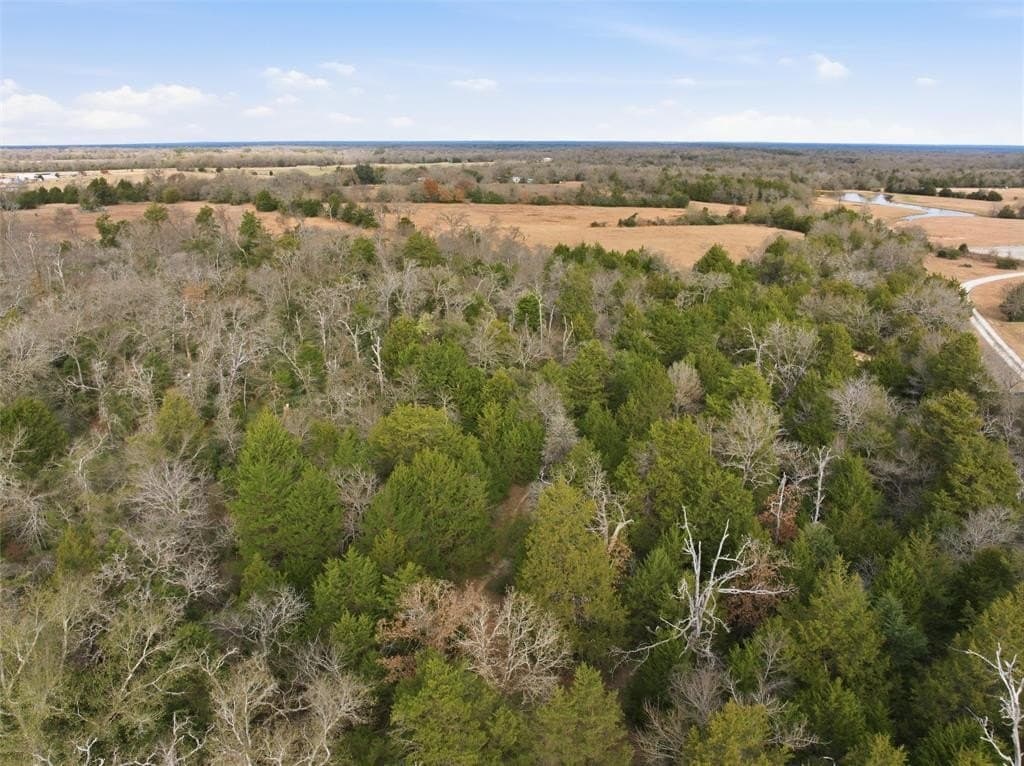30.19 acres in Limestone County - photo 13