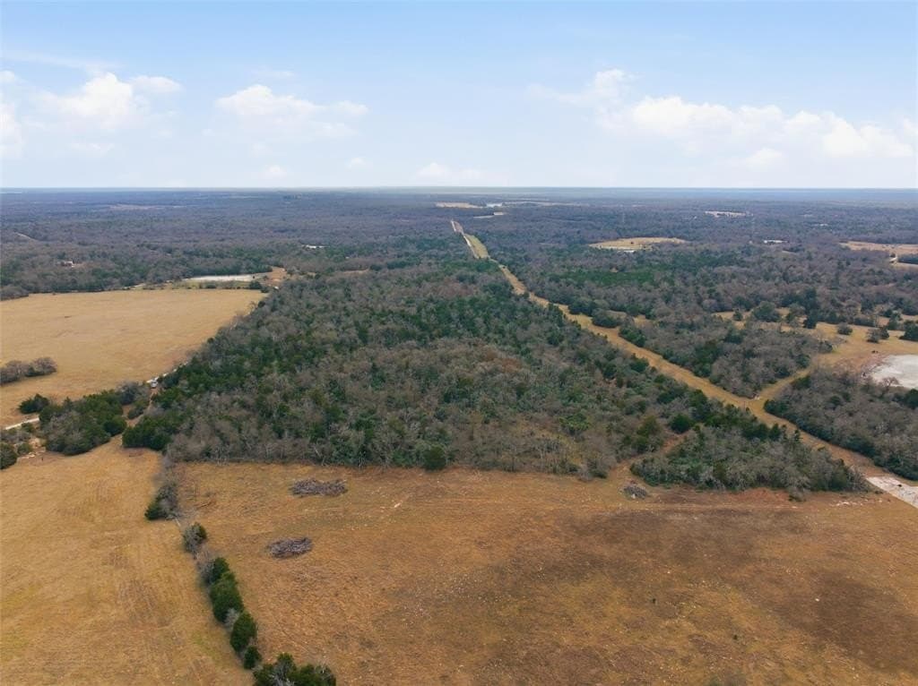 30.19 acres in Limestone County - photo 5