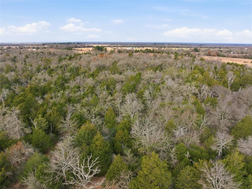 30.19 acres in Limestone County - photo 11