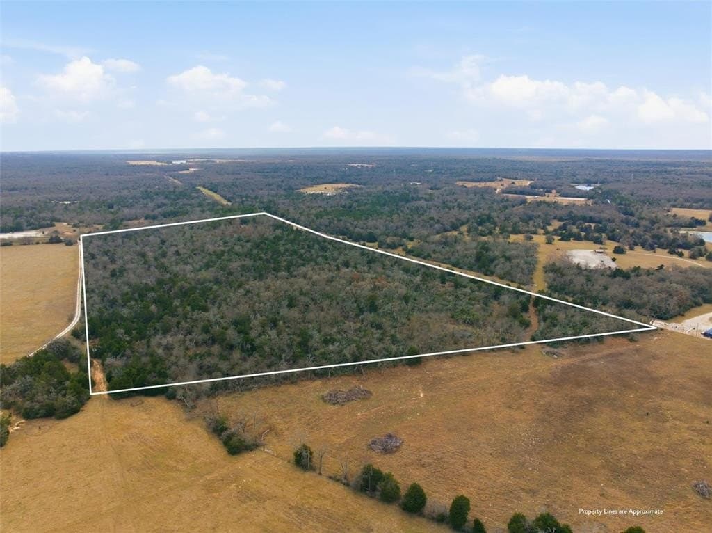 30.19 acres in Limestone County - photo 2