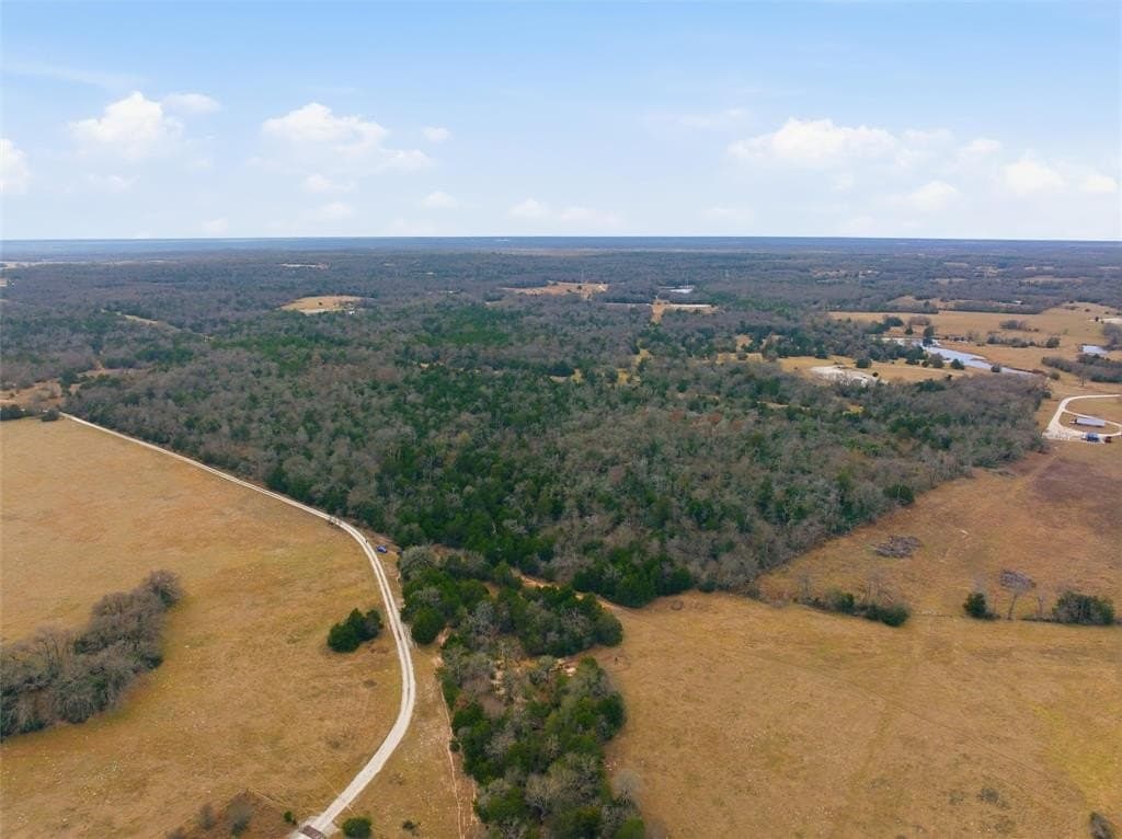 30.19 acres in Limestone County - photo 3