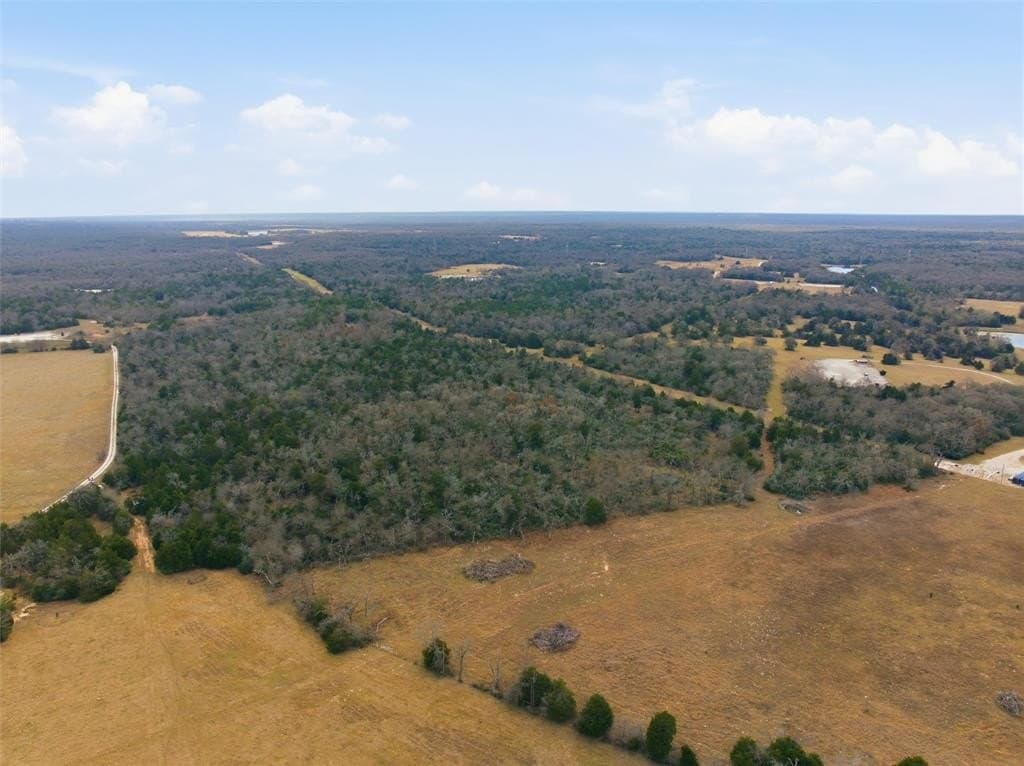 30.19 acres in Limestone County - photo 4