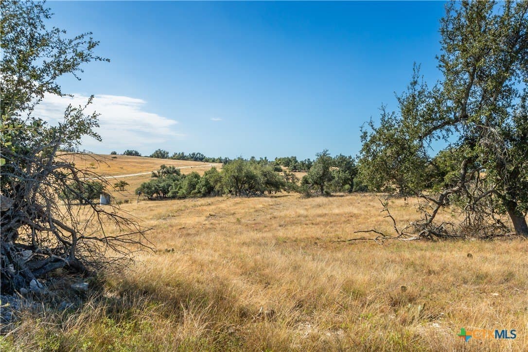 10.09 acres in Gillespie County - photo 5