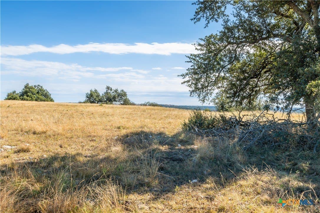 10.09 acres in Gillespie County - photo 4