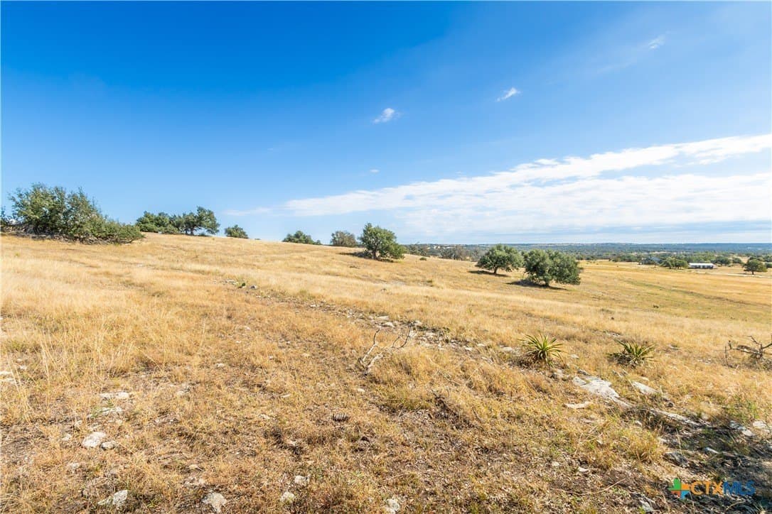 10.09 acres in Gillespie County - photo 2