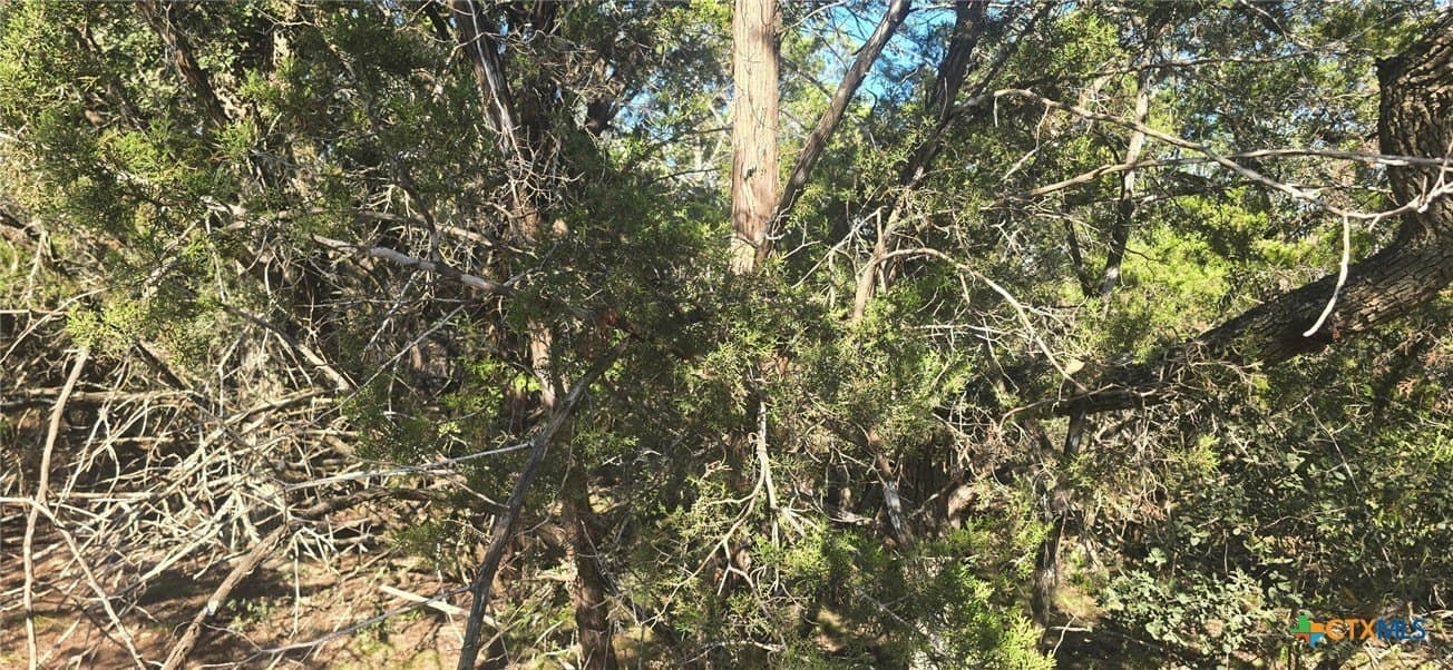 0.23 acres in Comal County - photo 3