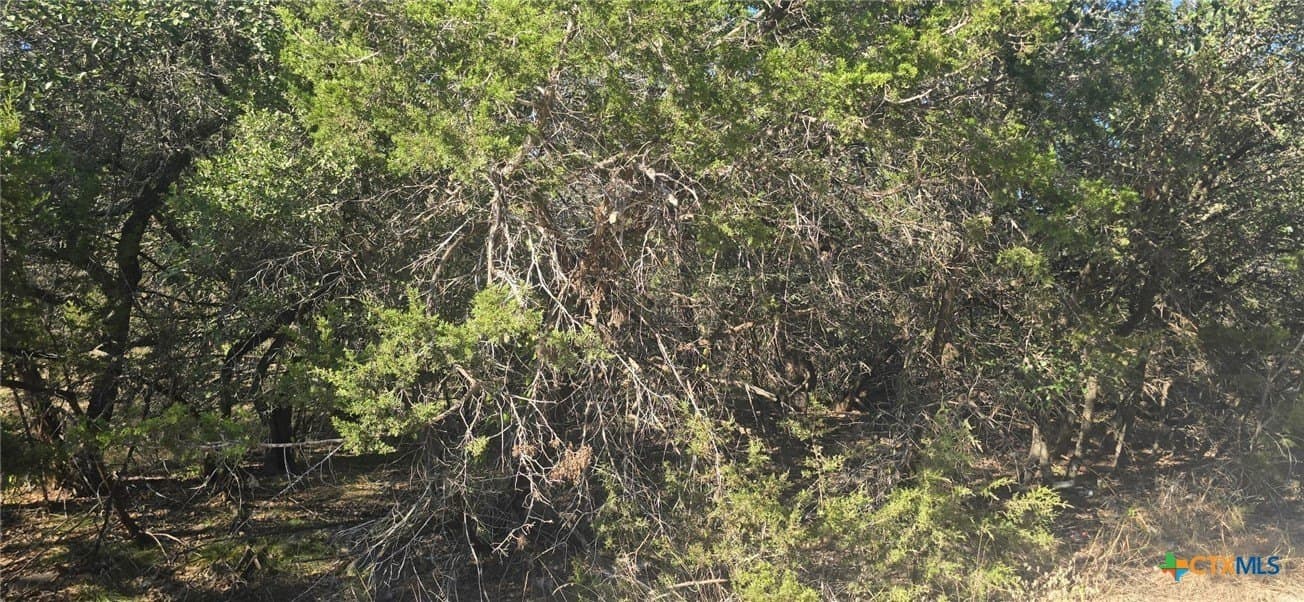 0.23 acres in Comal County - photo 2