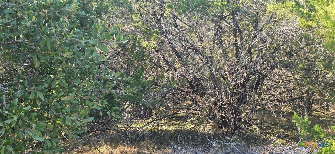 0.23 acres in Comal County - photo 4