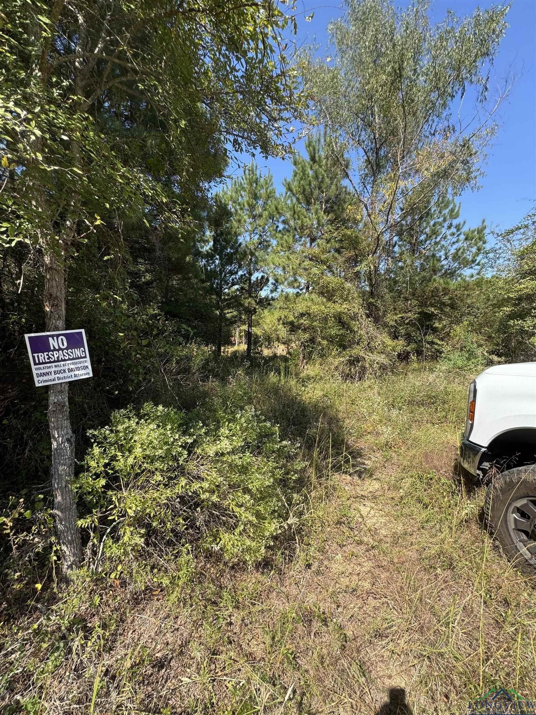 26.55 acres in Panola County - photo 7