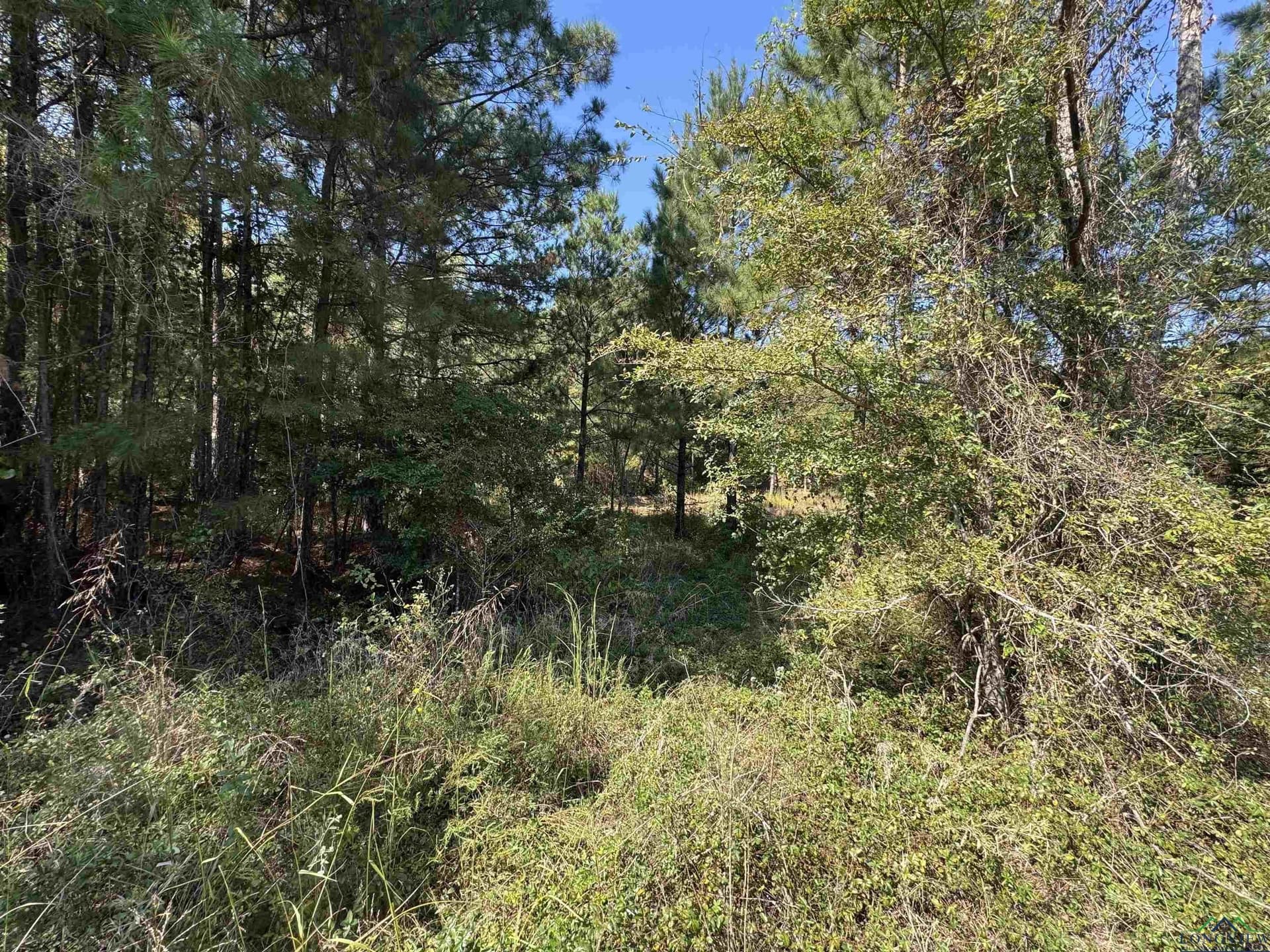 26.55 acres in Panola County - photo 6