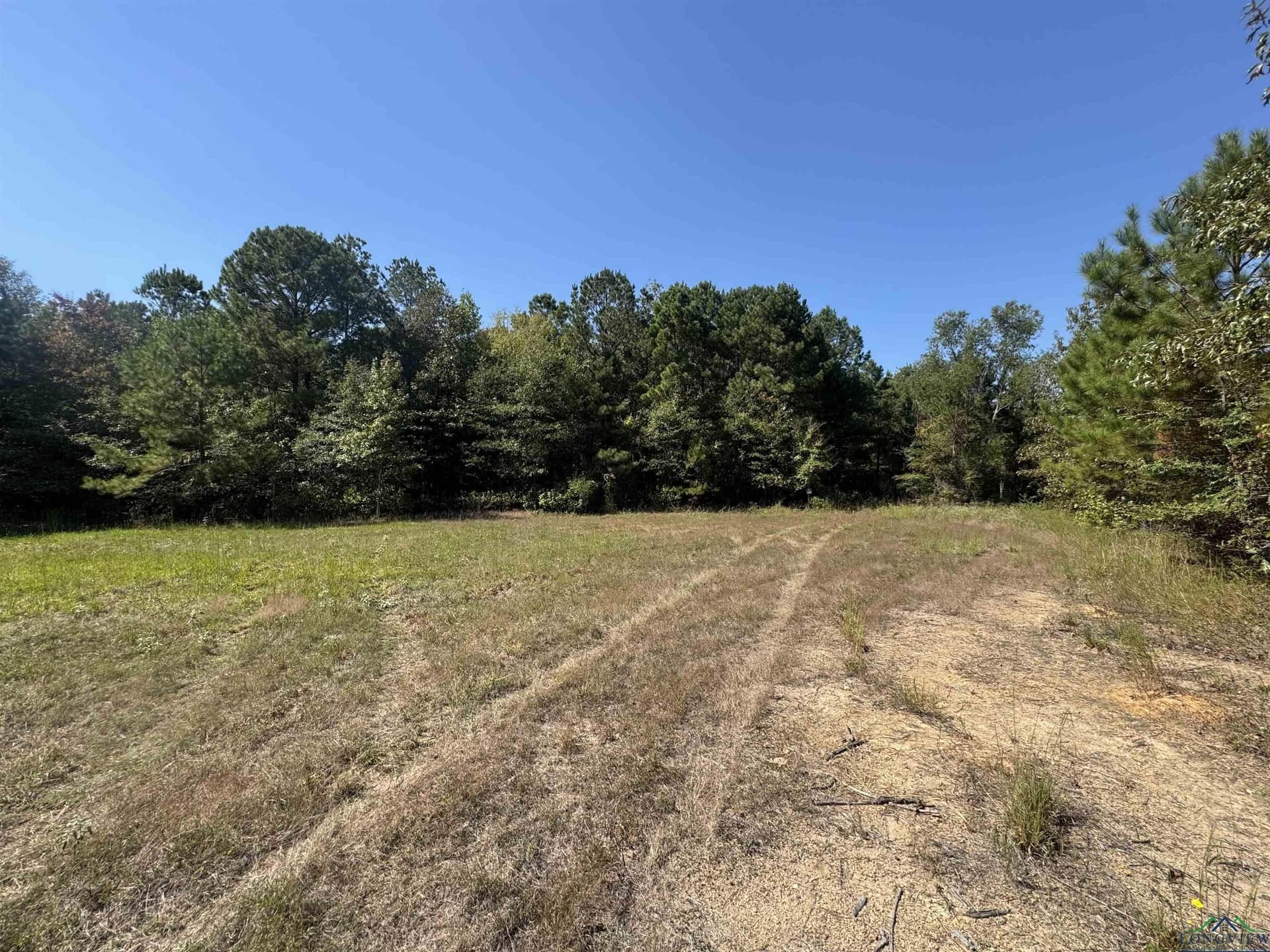 26.55 acres in Panola County - photo 5