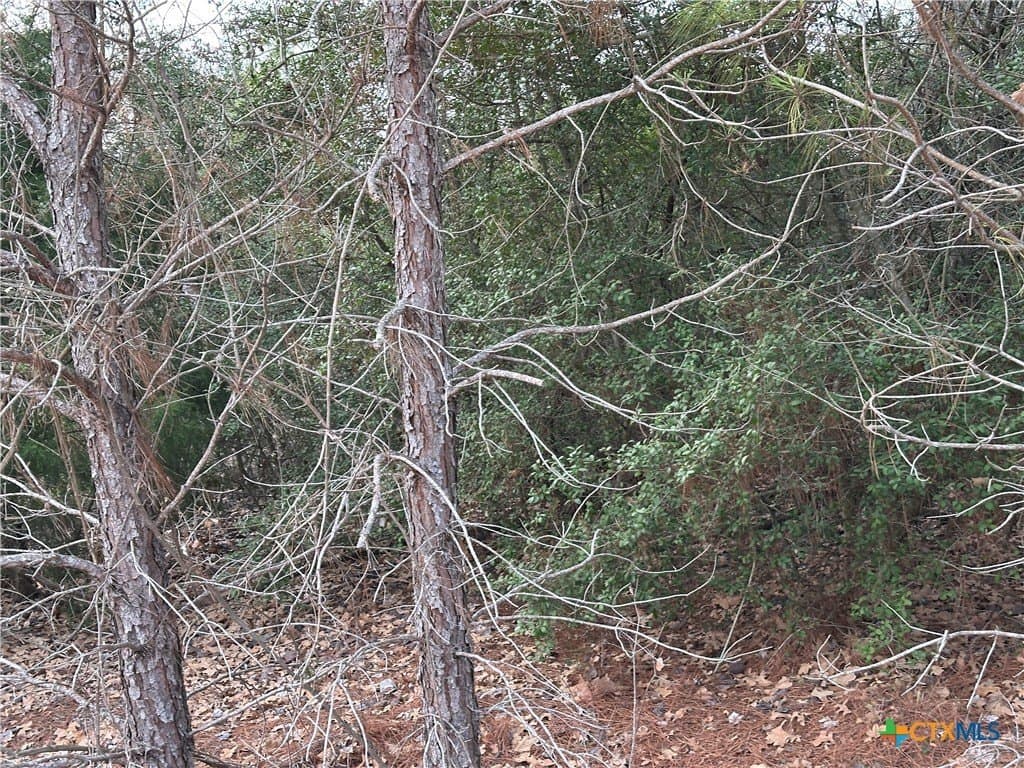 0.87 acres in Bastrop County - photo 3