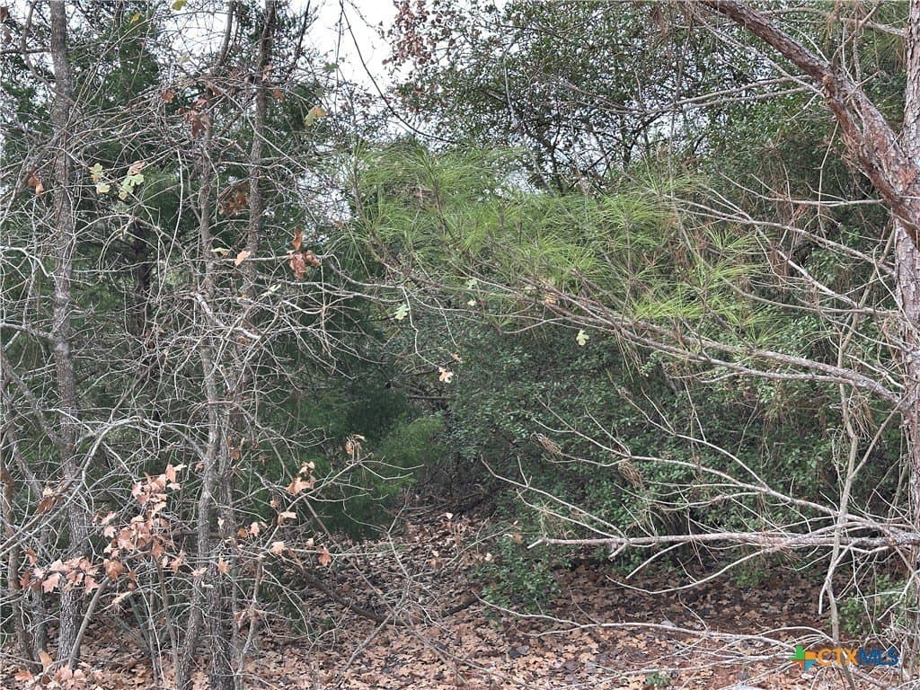 0.87 acres in Bastrop County - photo 5