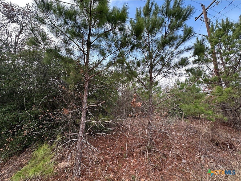 0.87 acres in Bastrop County - photo 6