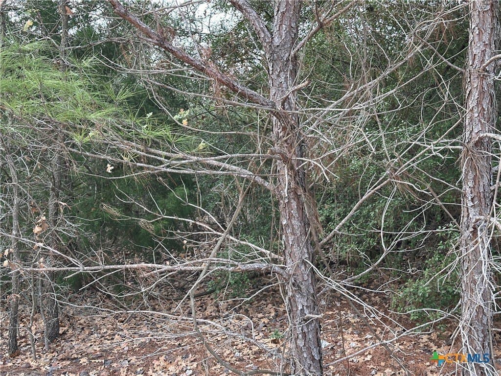 0.87 acres in Bastrop County - photo 4