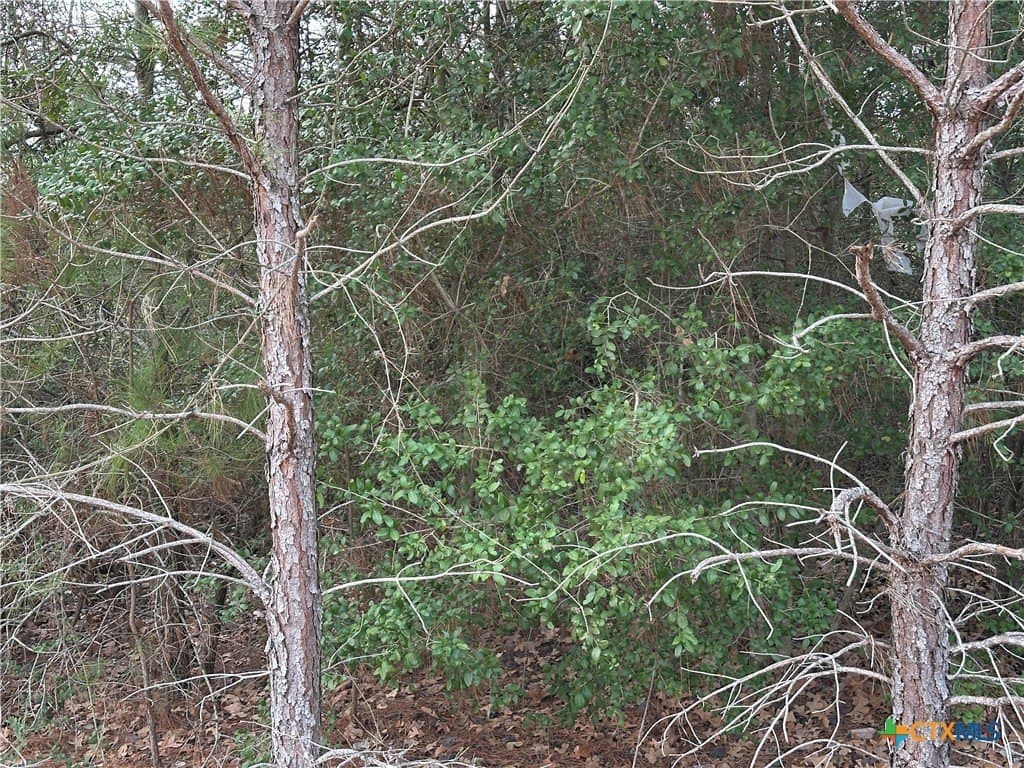 Pine Hill Loop lot: 4