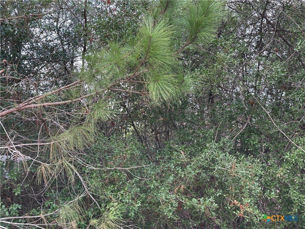 0.87 acres in Bastrop County - photo 2