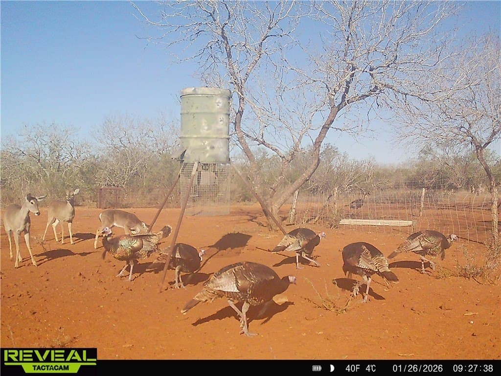 34.98 acres in Jim Wells County - photo 13
