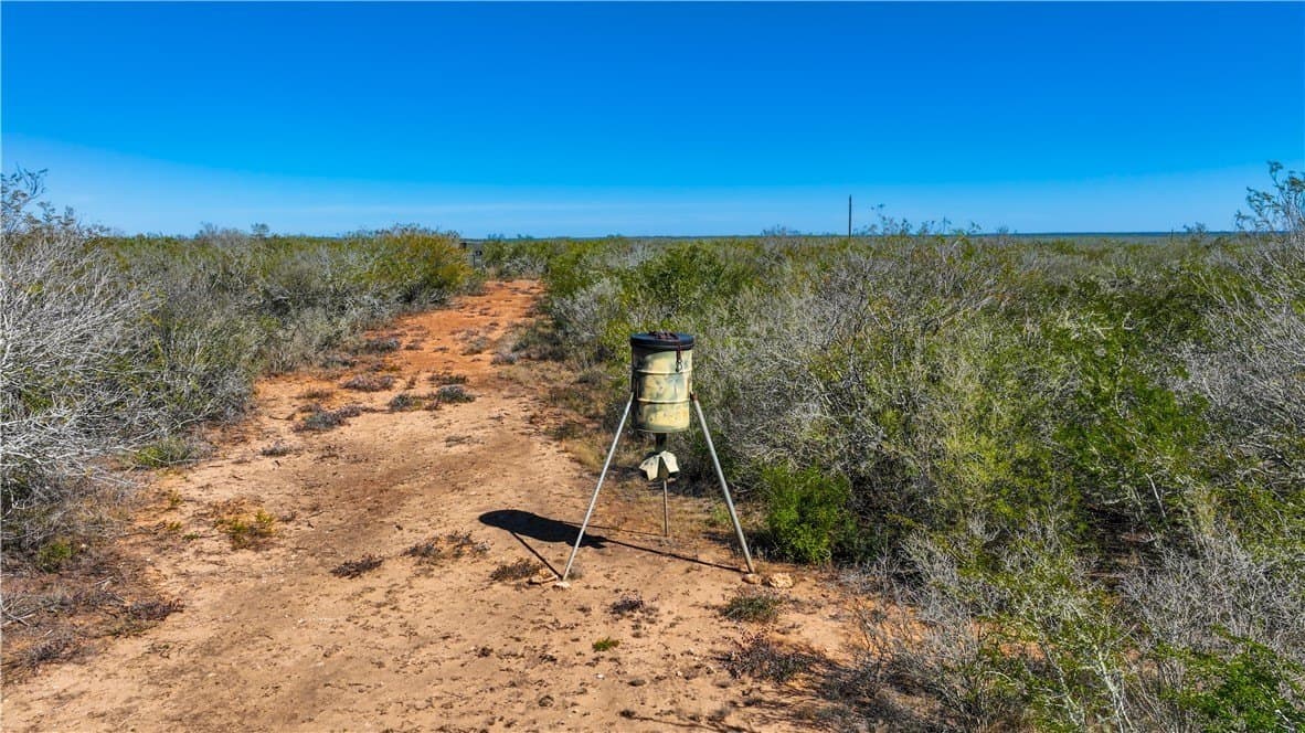 34.98 acres in Jim Wells County - photo 8