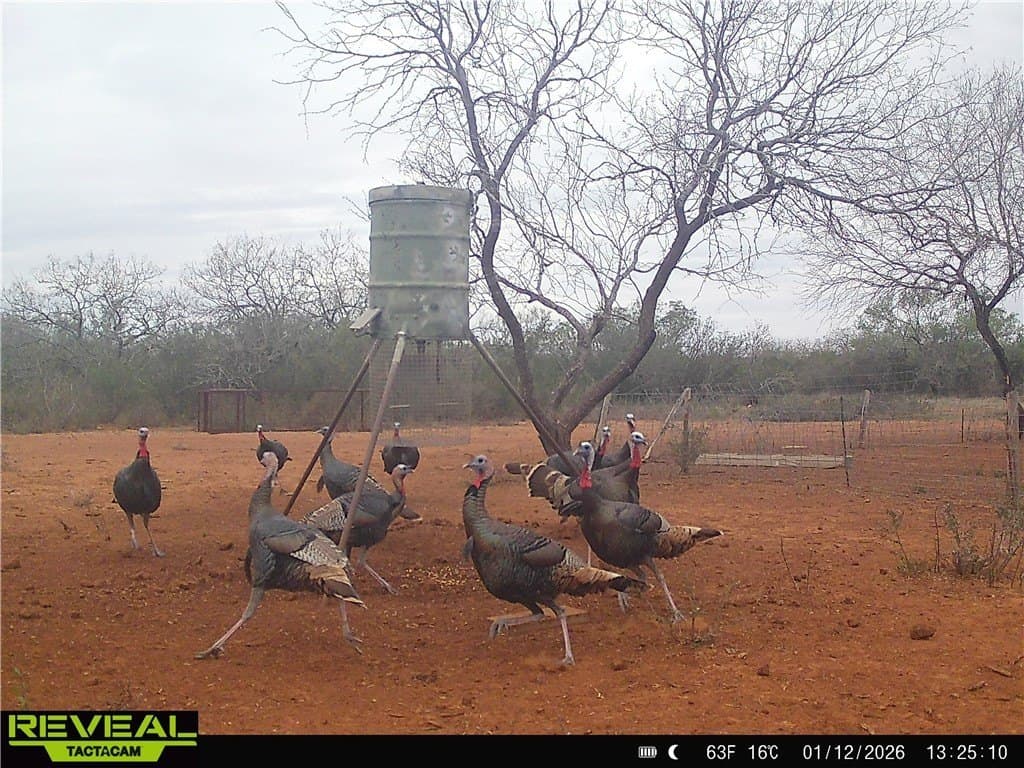 34.98 acres in Jim Wells County - photo 10