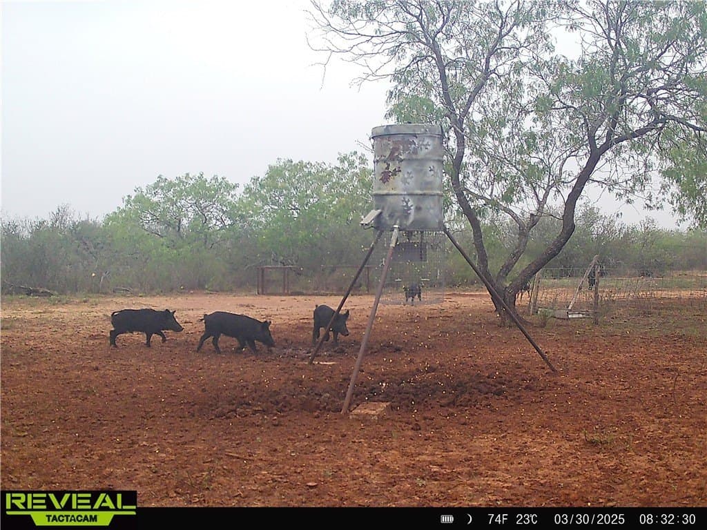 34.98 acres in Jim Wells County - photo 12