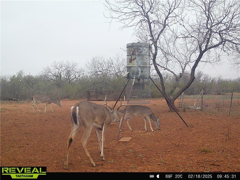 34.98 acres in Jim Wells County - photo 11