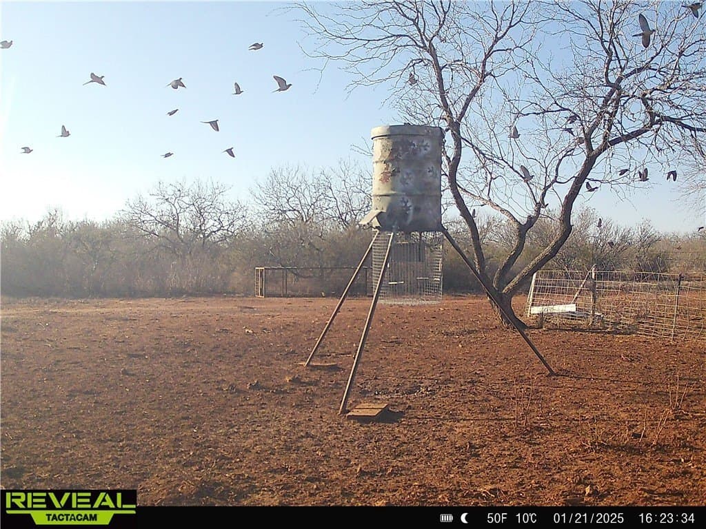 34.98 acres in Jim Wells County - photo 14