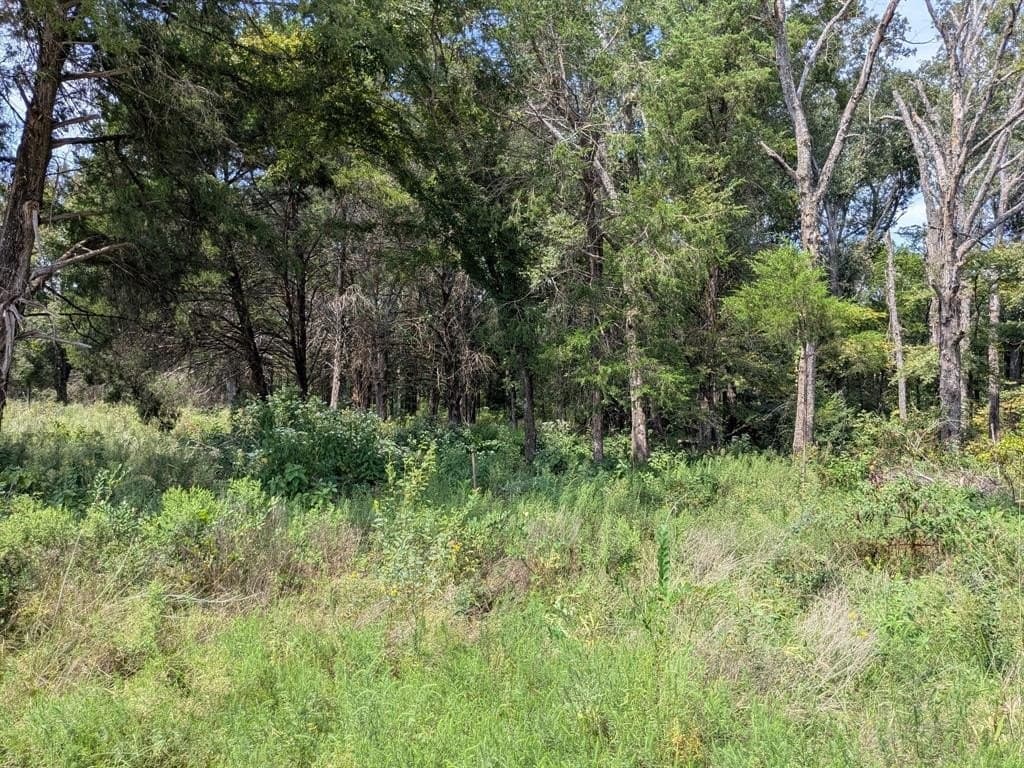 2.75 acres in Navarro County - photo 23