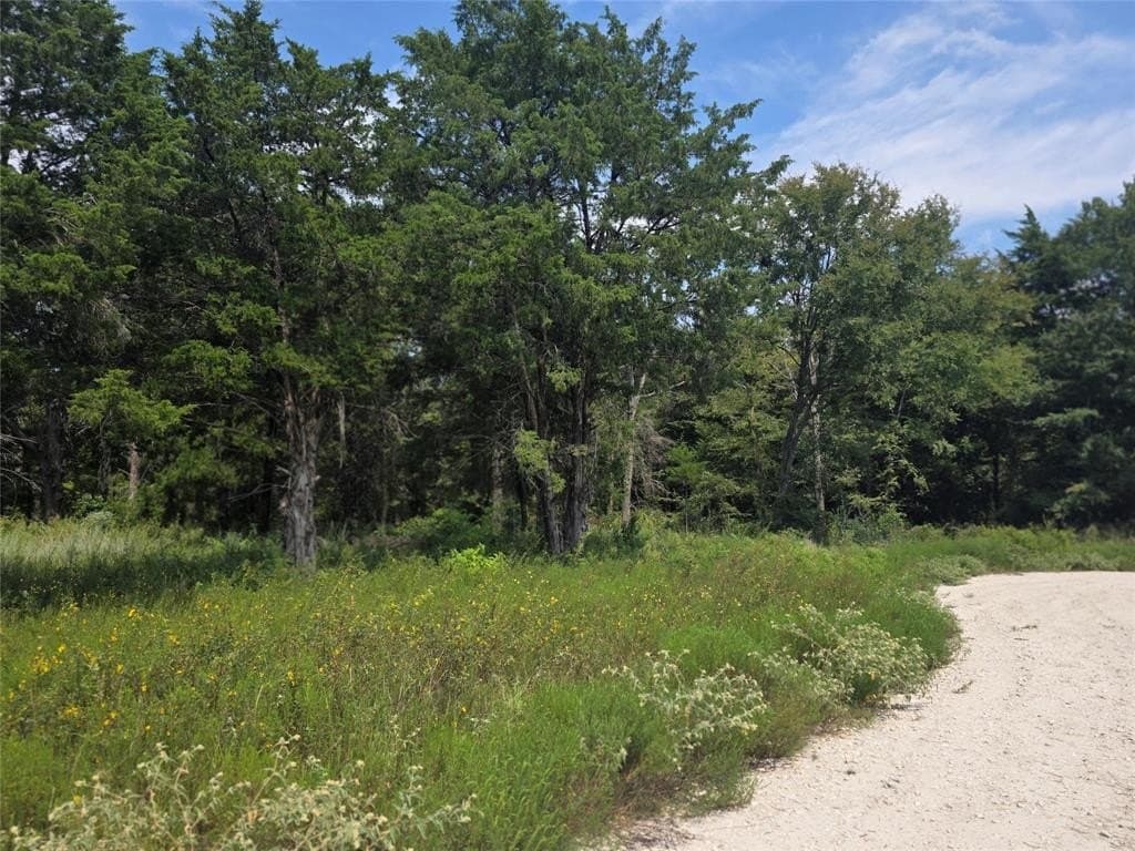 2.75 acres in Navarro County - photo 7