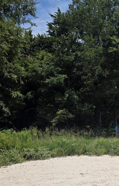 2.75 acres in Navarro County - photo 14