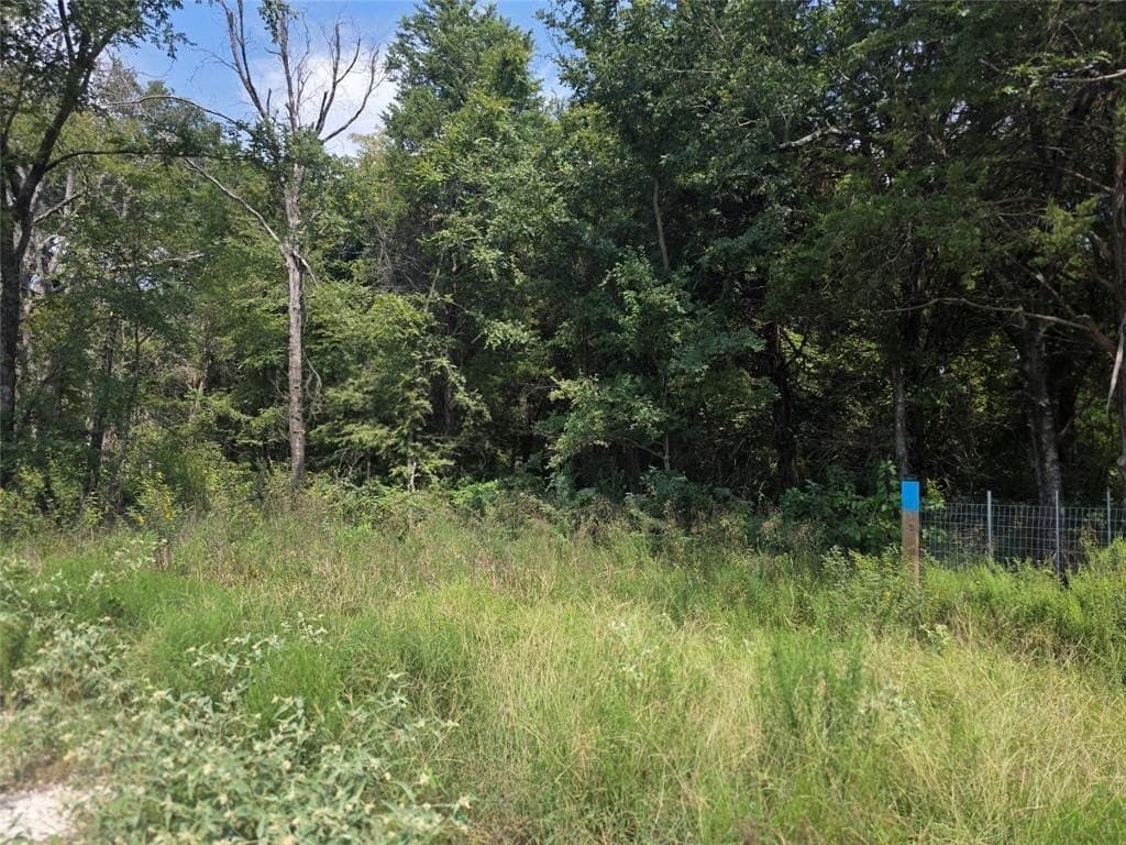 2.75 acres in Navarro County - photo 8