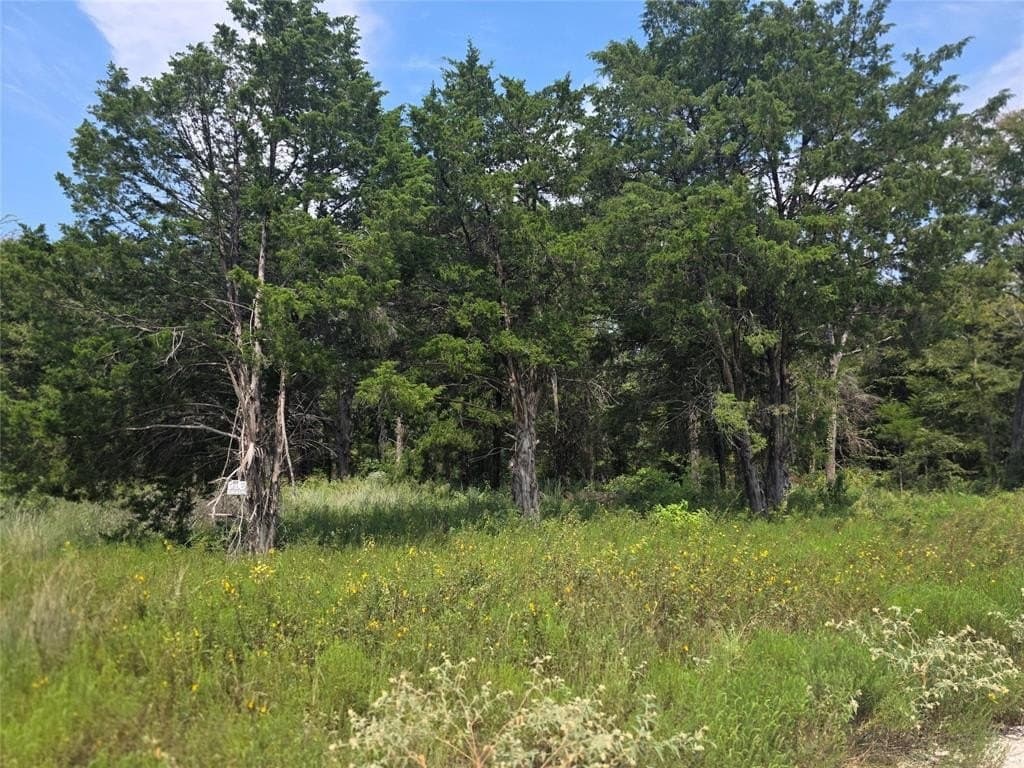 2.75 acres in Navarro County - photo 9
