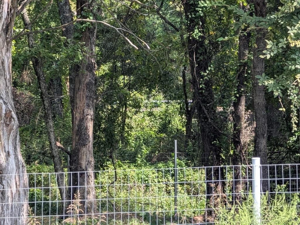 2.75 acres in Navarro County - photo 18
