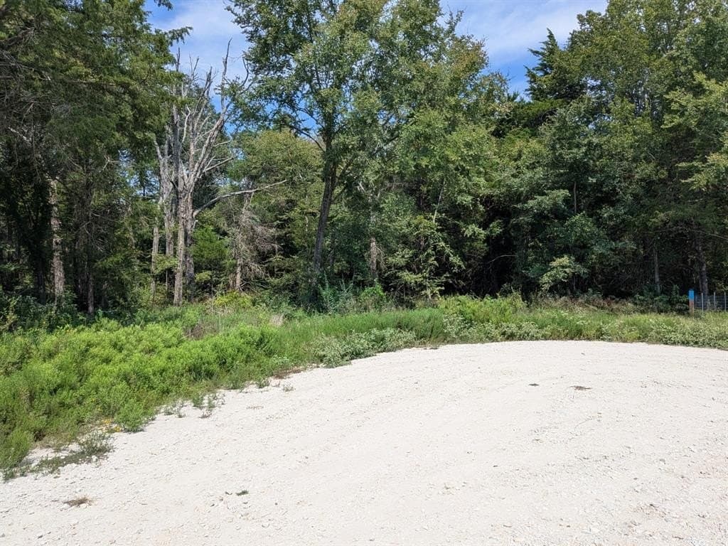 2.75 acres in Navarro County - photo 5