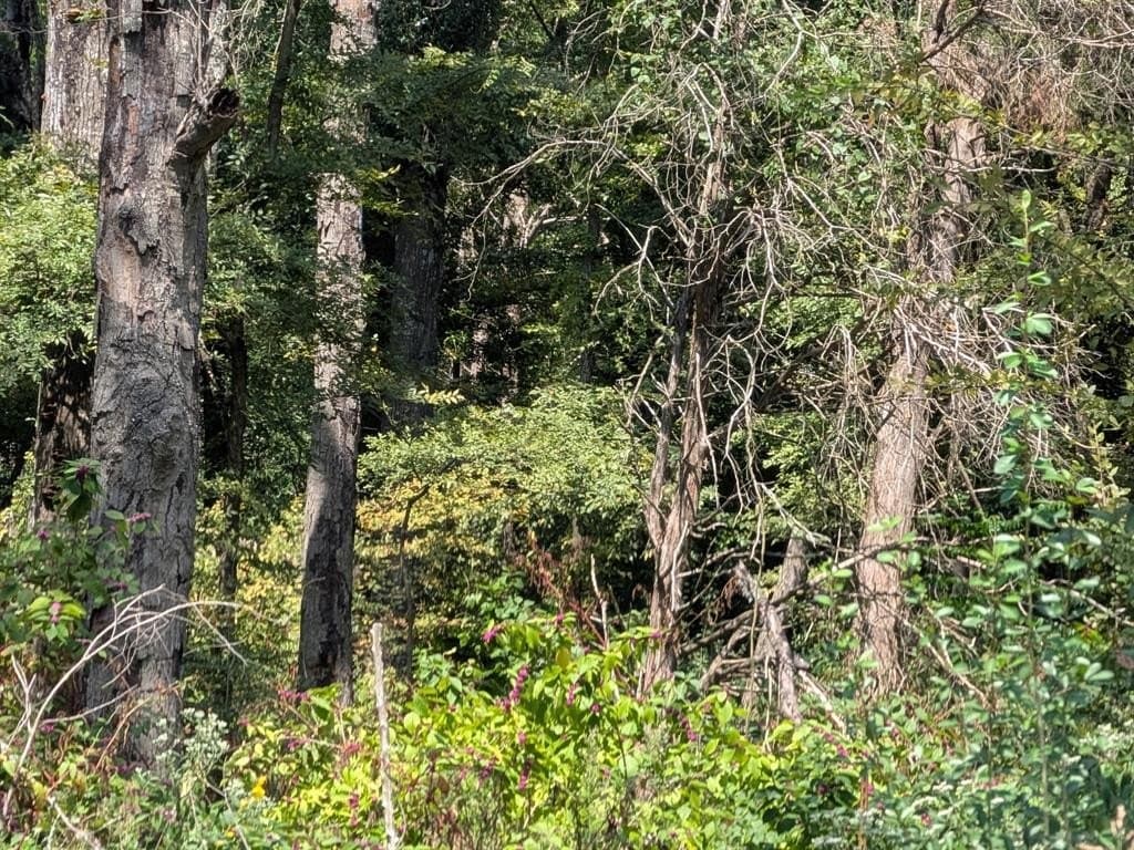 2.75 acres in Navarro County - photo 19