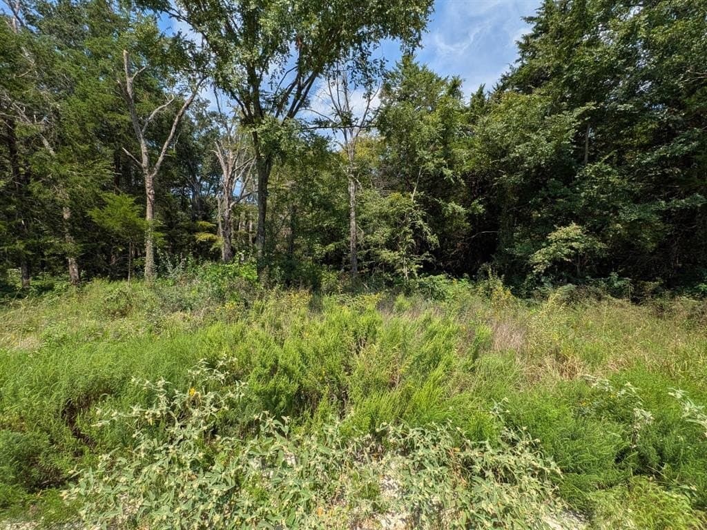 2.75 acres in Navarro County - photo 22