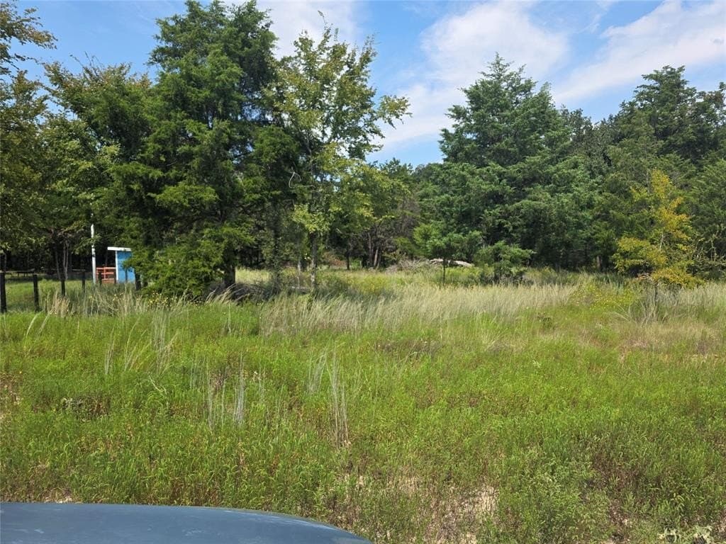 2.75 acres in Navarro County - photo 10
