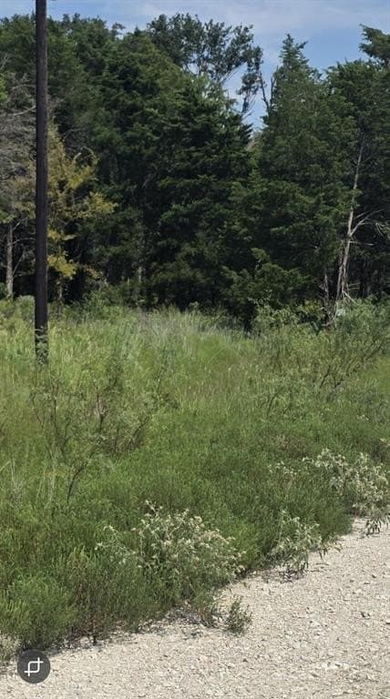 2.75 acres in Navarro County - photo 11