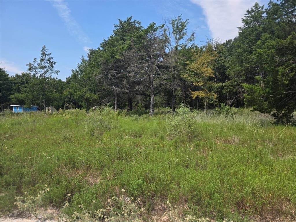 2.75 acres in Navarro County - photo 2