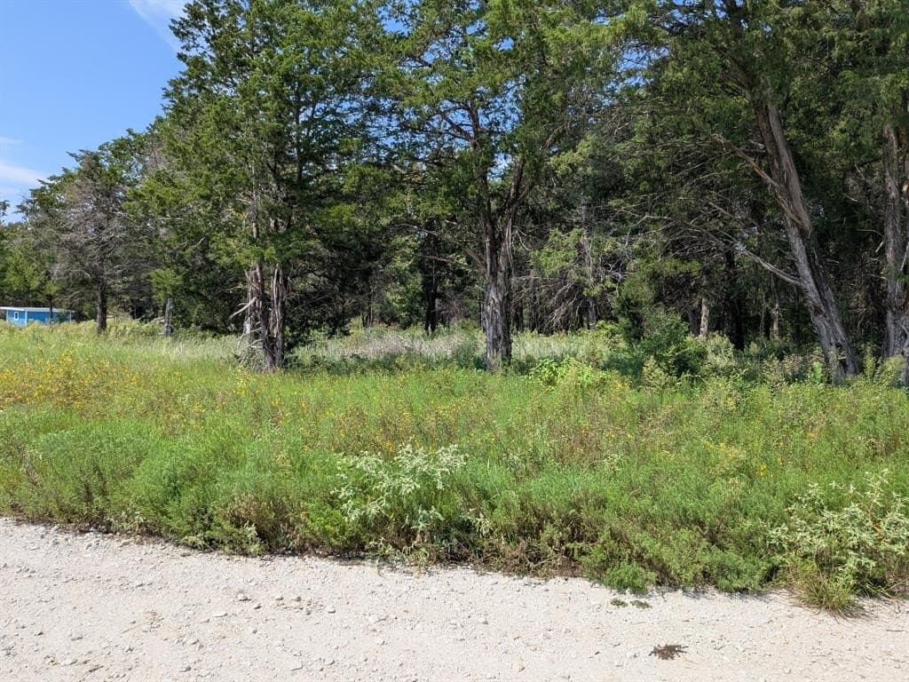 2.75 acres in Navarro County - photo 4