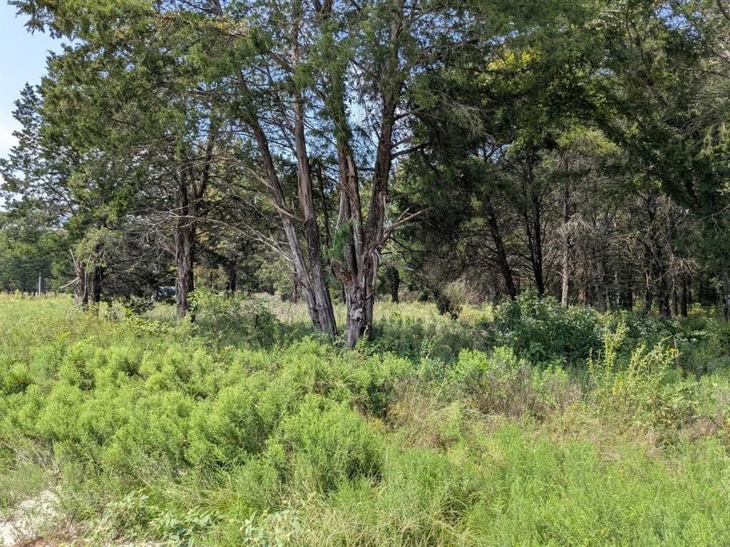 2.75 acres in Navarro County - photo 12