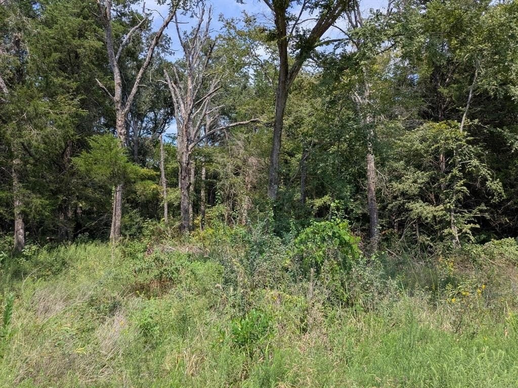 2.75 acres in Navarro County - photo 21
