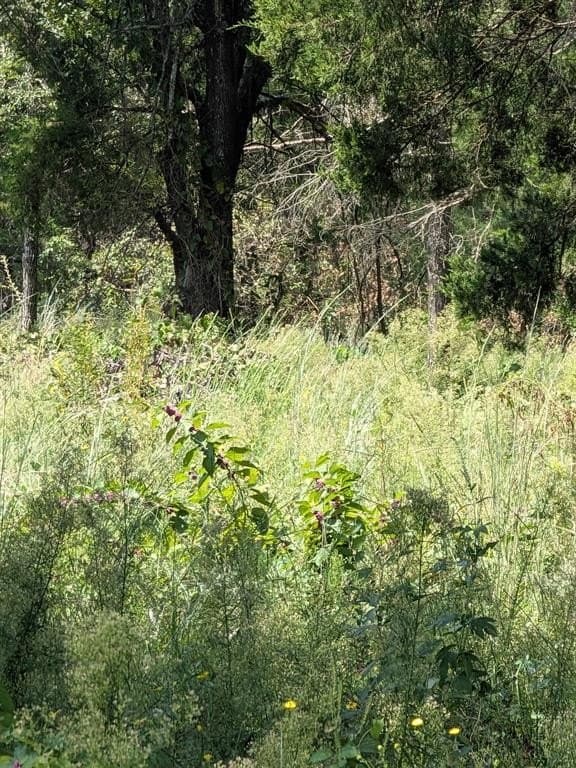 2.75 acres in Navarro County - photo 20