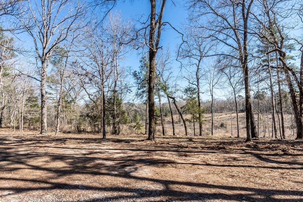 22.59 acres in ANDERSON County - photo 7