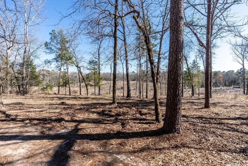 22.59 acres in ANDERSON County - photo 6