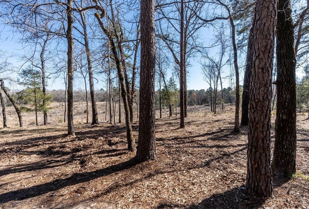 22.59 acres in ANDERSON County - photo 5