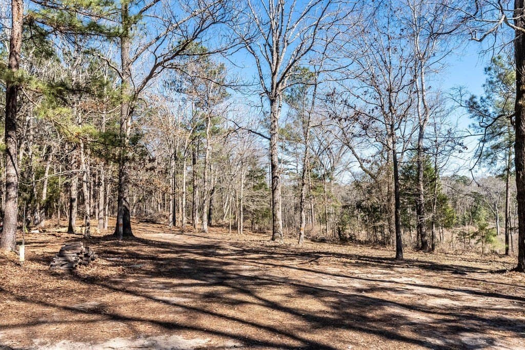 22.59 acres in ANDERSON County - photo 10