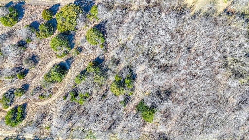 0.39 acres in Navarro County - photo 20