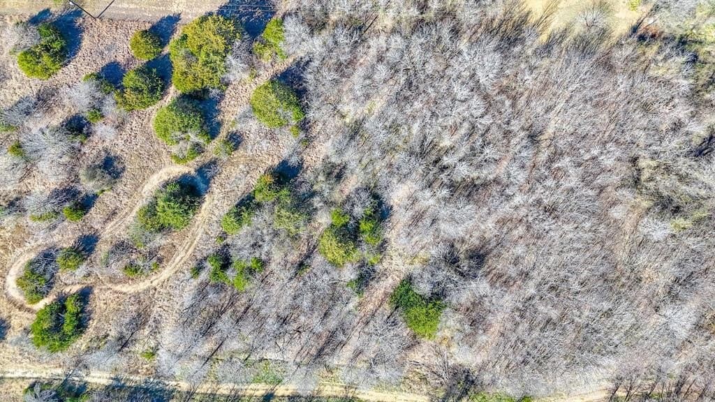 0.39 acres in Navarro County - photo 19