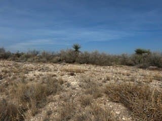 217,800 acres in Maverick County - photo 3